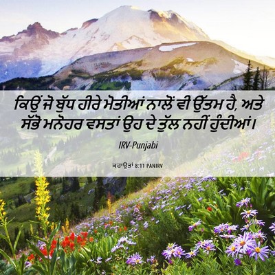 Picture 06 - ਕਹਾਉਤਾਂ 8:11 PANIRV - ਕਿਉਂ ਜੋ ਬੁੱਧ ਹੀਰੇ - Bible Verse Picture