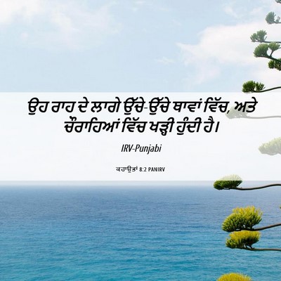 Picture 06 - ਕਹਾਉਤਾਂ 8:2 PANIRV - ਉਹ ਰਾਹ ਦੇ ਲਾਗੇ - Bible Verse Picture