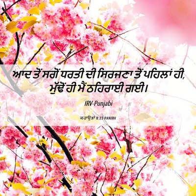 Picture 06 - ਕਹਾਉਤਾਂ 8:23 PANIRV - ਆਦ ਤੋਂ ਸਗੋਂ ਧਰਤੀ ਦੀ - Bible Verse Picture