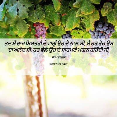 Picture 06 - ਕਹਾਉਤਾਂ 8:30 PANIRV - ਤਦ ਮੈਂ ਰਾਜ ਮਿਸਤਰੀ - Bible Verse Picture