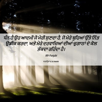 Picture 06 - ਕਹਾਉਤਾਂ 8:34 PANIRV - ਧੰਨ ਹੈ ਉਹ ਆਦਮੀ ਜੋ - Bible Verse Picture