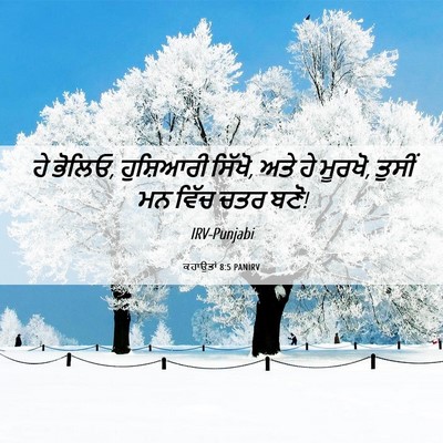 Picture 06 - ਕਹਾਉਤਾਂ 8:5 PANIRV - ਹੇ ਭੋਲਿਓ, ਹੁਸ਼ਿਆਰੀ - Bible Verse Picture