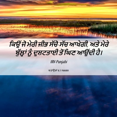 Picture 06 - ਕਹਾਉਤਾਂ 8:7 PANIRV - ਕਿਉਂ ਜੋ ਮੇਰੀ ਜੀਭ - Bible Verse Picture