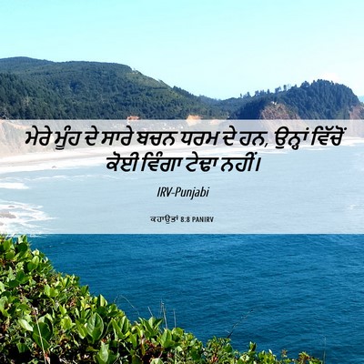 Picture 06 - ਕਹਾਉਤਾਂ 8:8 PANIRV - ਮੇਰੇ ਮੂੰਹ ਦੇ ਸਾਰੇ - Bible Verse Picture