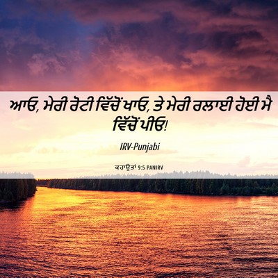 Picture 06 - ਕਹਾਉਤਾਂ 9:5 PANIRV - ਆਓ, ਮੇਰੀ ਰੋਟੀ - Bible Verse Picture