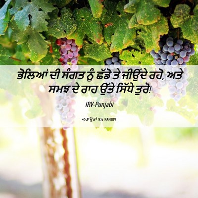 Picture 06 - ਕਹਾਉਤਾਂ 9:6 PANIRV - ਭੋਲਿਆਂ ਦੀ ਸੰਗਤ ਨੂੰ - Bible Verse Picture