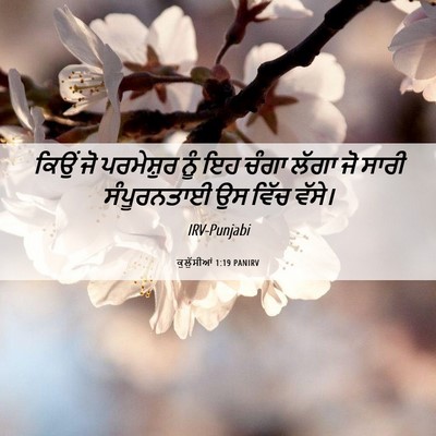 Picture 06 - ਕੁਲੁੱਸੀਆਂ 1:19 PANIRV - ਕਿਉਂ ਜੋ ਪਰਮੇਸ਼ੁਰ - Bible Verse Picture