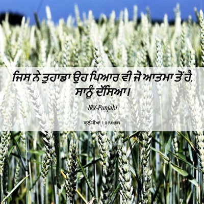 Picture 06 - ਕੁਲੁੱਸੀਆਂ 1:8 PANIRV - ਜਿਸ ਨੇ ਤੁਹਾਡਾ ਉਹ - Bible Verse Picture