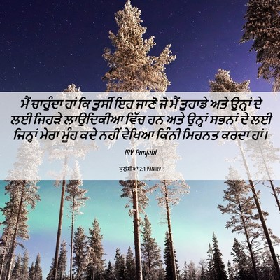 Picture 06 - ਕੁਲੁੱਸੀਆਂ 2:1 PANIRV - ਮੈਂ ਚਾਹੁੰਦਾ ਹਾਂ ਕਿ - Bible Verse Picture