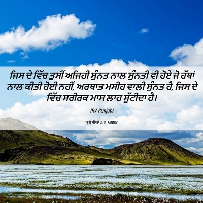 Picture 06 - ਕੁਲੁੱਸੀਆਂ 2:11 PANIRV - ਜਿਸ ਦੇ ਵਿੱਚ ਤੁਸੀਂ - Bible Verse Picture