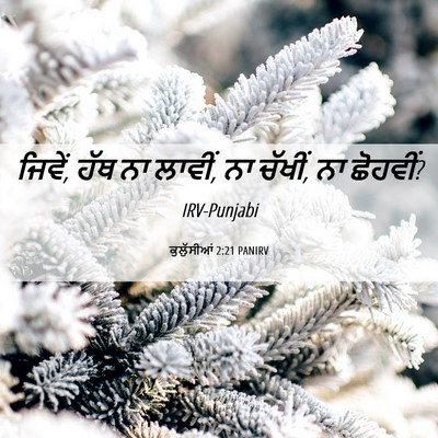 Picture 06 - ਕੁਲੁੱਸੀਆਂ 2:21 PANIRV - ਜਿਵੇਂ, ਹੱਥ ਨਾ - Bible Verse Picture