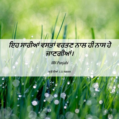 Picture 06 - ਕੁਲੁੱਸੀਆਂ 2:22 PANIRV - ਇਹ ਸਾਰੀਆਂ ਵਸਤਾਂ - Bible Verse Picture