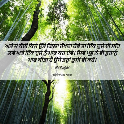 Picture 06 - ਕੁਲੁੱਸੀਆਂ 3:13 PANIRV - ਅਤੇ ਜੇ ਕੋਈ ਕਿਸੇ - Bible Verse Picture