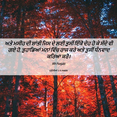 Picture 06 - ਕੁਲੁੱਸੀਆਂ 3:15 PANIRV - ਅਤੇ ਮਸੀਹ ਦੀ ਸ਼ਾਂਤੀ - Bible Verse Picture