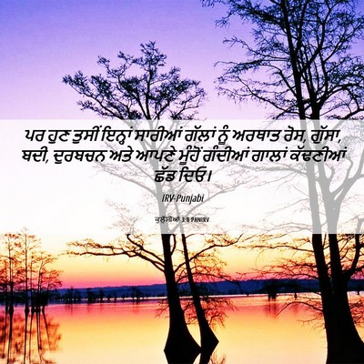 Picture 06 - ਕੁਲੁੱਸੀਆਂ 3:8 PANIRV - ਪਰ ਹੁਣ ਤੁਸੀਂ - Bible Verse Picture