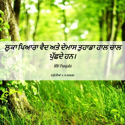 Picture 06 - ਕੁਲੁੱਸੀਆਂ 4:14 PANIRV - ਲੂਕਾ ਪਿਆਰਾ ਵੈਦ ਅਤੇ - Bible Verse Picture