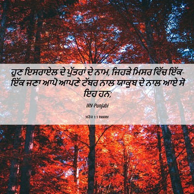 Picture 06 - ਖ਼ਰੋਜ 1:1 PANIRV - ਹੁਣ ਇਸਰਾਏਲ ਦੇ - Bible Verse Picture