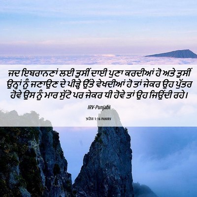 Picture 06 - ਖ਼ਰੋਜ 1:16 PANIRV - ਜਦ ਇਬਰਾਨਣਾਂ ਲਈ - Bible Verse Picture