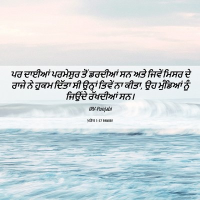 Picture 06 - ਖ਼ਰੋਜ 1:17 PANIRV - ਪਰ ਦਾਈਆਂ ਪਰਮੇਸ਼ੁਰ - Bible Verse Picture