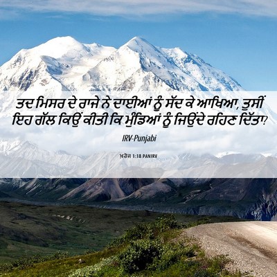 Picture 06 - ਖ਼ਰੋਜ 1:18 PANIRV - ਤਦ ਮਿਸਰ ਦੇ ਰਾਜੇ ਨੇ - Bible Verse Picture