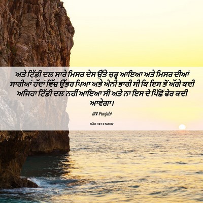 Picture 06 - ਖ਼ਰੋਜ 10:14 PANIRV - ਅਤੇ ਟਿੱਡੀ ਦਲ ਸਾਰੇ - Bible Verse Picture