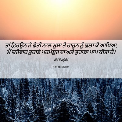 Picture 06 - ਖ਼ਰੋਜ 10:16 PANIRV - ਤਾਂ ਫ਼ਿਰਊਨ ਨੇ ਛੇਤੀ - Bible Verse Picture
