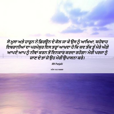 Picture 06 - ਖ਼ਰੋਜ 10:3 PANIRV - ਸੋ ਮੂਸਾ ਅਤੇ ਹਾਰੂਨ - Bible Verse Picture