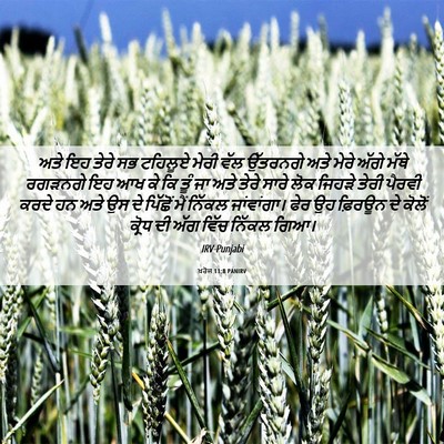 Picture 06 - ਖ਼ਰੋਜ 11:8 PANIRV - ਅਤੇ ਇਹ ਤੇਰੇ ਸਭ - Bible Verse Picture