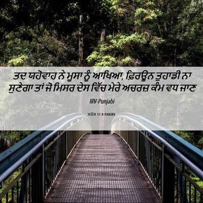Picture 06 - ਖ਼ਰੋਜ 11:9 PANIRV - ਤਦ ਯਹੋਵਾਹ ਨੇ ਮੂਸਾ - Bible Verse Picture