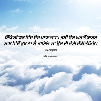 Picture 06 - ਖ਼ਰੋਜ 12:46 PANIRV - ਇੱਕੋ ਹੀ ਘਰ ਵਿੱਚ ਉਹ - Bible Verse Picture
