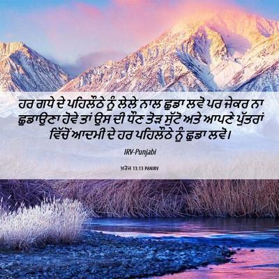 Picture 06 - ਖ਼ਰੋਜ 13:13 PANIRV - ਹਰ ਗਧੇ ਦੇ ਪਹਿਲੌਠੇ - Bible Verse Picture