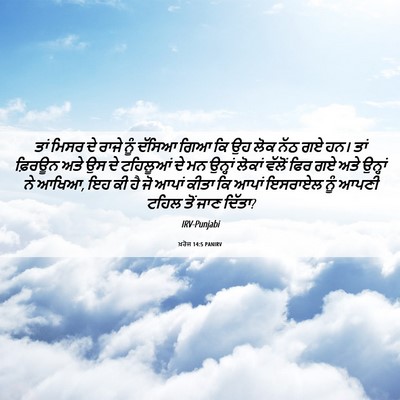 Picture 06 - ਖ਼ਰੋਜ 14:5 PANIRV - ਤਾਂ ਮਿਸਰ ਦੇ ਰਾਜੇ - Bible Verse Picture