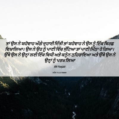 Picture 06 - ਖ਼ਰੋਜ 15:25 PANIRV - ਤਾਂ ਉਸ ਨੇ ਯਹੋਵਾਹ - Bible Verse Picture