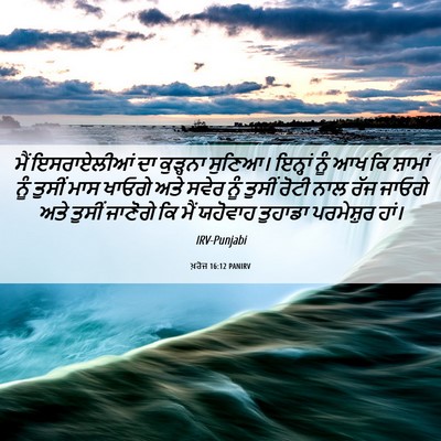 Picture 06 - ਖ਼ਰੋਜ 16:12 PANIRV - ਮੈਂ ਇਸਰਾਏਲੀਆਂ ਦਾ - Bible Verse Picture