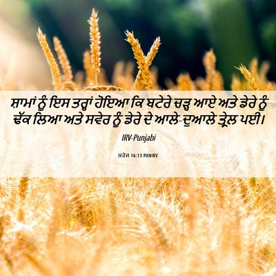 Picture 06 - ਖ਼ਰੋਜ 16:13 PANIRV - ਸ਼ਾਮਾਂ ਨੂੰ ਇਸ - Bible Verse Picture