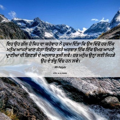Picture 06 - ਖ਼ਰੋਜ 16:16 PANIRV - ਇਹ ਉਹ ਗੱਲ ਹੈ ਜਿਹ ਦਾ - Bible Verse Picture