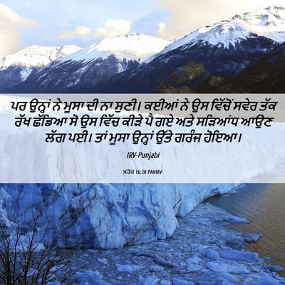 Picture 06 - ਖ਼ਰੋਜ 16:20 PANIRV - ਪਰ ਉਨ੍ਹਾਂ ਨੇ ਮੂਸਾ - Bible Verse Picture