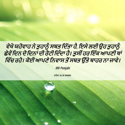 Picture 06 - ਖ਼ਰੋਜ 16:29 PANIRV - ਵੇਖੋ ਯਹੋਵਾਹ ਨੇ - Bible Verse Picture