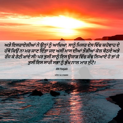 Picture 06 - ਖ਼ਰੋਜ 16:3 PANIRV - ਅਤੇ ਇਸਰਾਏਲੀਆਂ ਨੇ - Bible Verse Picture