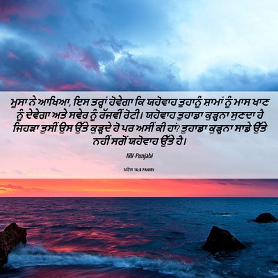 Picture 06 - ਖ਼ਰੋਜ 16:8 PANIRV - ਮੂਸਾ ਨੇ ਆਖਿਆ, ਇਸ - Bible Verse Picture