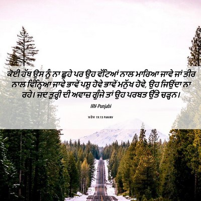 Picture 06 - ਖ਼ਰੋਜ 19:13 PANIRV - ਕੋਈ ਹੱਥ ਉਸ ਨੂੰ ਨਾ - Bible Verse Picture