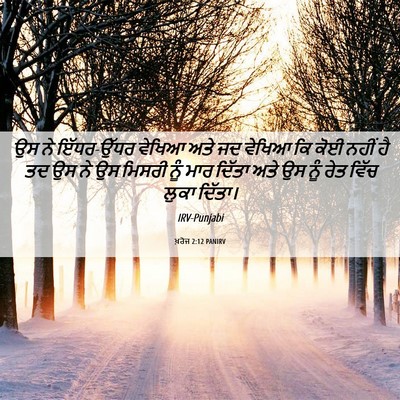 Picture 06 - ਖ਼ਰੋਜ 2:12 PANIRV - ਉਸ ਨੇ ਇੱਧਰ-ਉੱਧਰ - Bible Verse Picture