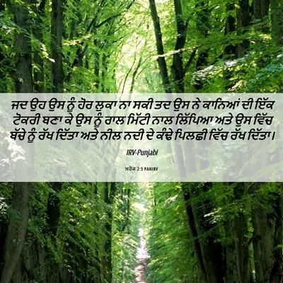 Picture 06 - ਖ਼ਰੋਜ 2:3 PANIRV - ਜਦ ਉਹ ਉਸ ਨੂੰ ਹੋਰ - Bible Verse Picture