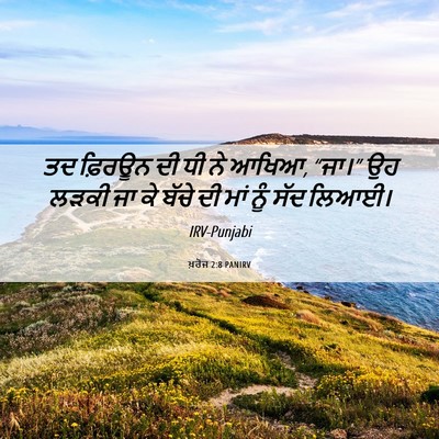 Picture 06 - ਖ਼ਰੋਜ 2:8 PANIRV - ਤਦ ਫ਼ਿਰਊਨ ਦੀ ਧੀ ਨੇ - Bible Verse Picture