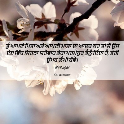 Picture 06 - ਖ਼ਰੋਜ 20:12 PANIRV - ਤੂੰ ਆਪਣੇ ਪਿਤਾ ਅਤੇ - Bible Verse Picture