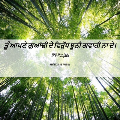 Picture 06 - ਖ਼ਰੋਜ 20:16 PANIRV - ਤੂੰ ਆਪਣੇ ਗੁਆਂਢੀ ਦੇ - Bible Verse Picture