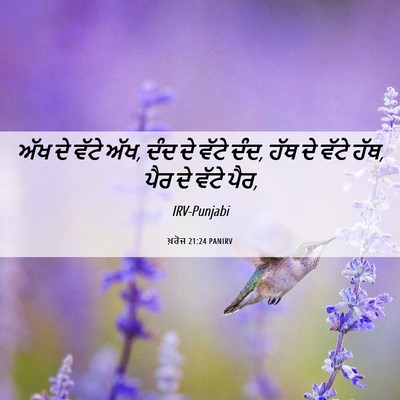 Picture 06 - ਖ਼ਰੋਜ 21:24 PANIRV - ਅੱਖ ਦੇ ਵੱਟੇ ਅੱਖ, - Bible Verse Picture