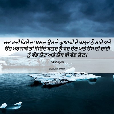 Picture 06 - ਖ਼ਰੋਜ 21:35 PANIRV - ਜਦ ਕਦੀ ਕਿਸੇ ਦਾ ਬਲ਼ਦ - Bible Verse Picture