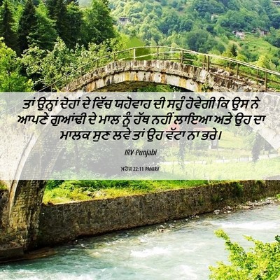 Picture 06 - ਖ਼ਰੋਜ 22:11 PANIRV - ਤਾਂ ਉਨ੍ਹਾਂ ਦੋਹਾਂ - Bible Verse Picture