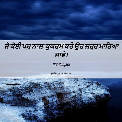 Picture 06 - ਖ਼ਰੋਜ 22:19 PANIRV - ਜੋ ਕੋਈ ਪਸ਼ੂ ਨਾਲ - Bible Verse Picture